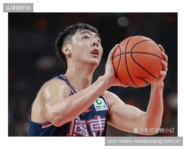 主力边后卫年龄结构合理但缺乏年轻冲击力，轮换球员深度将决定球队边路攻防的持续性。